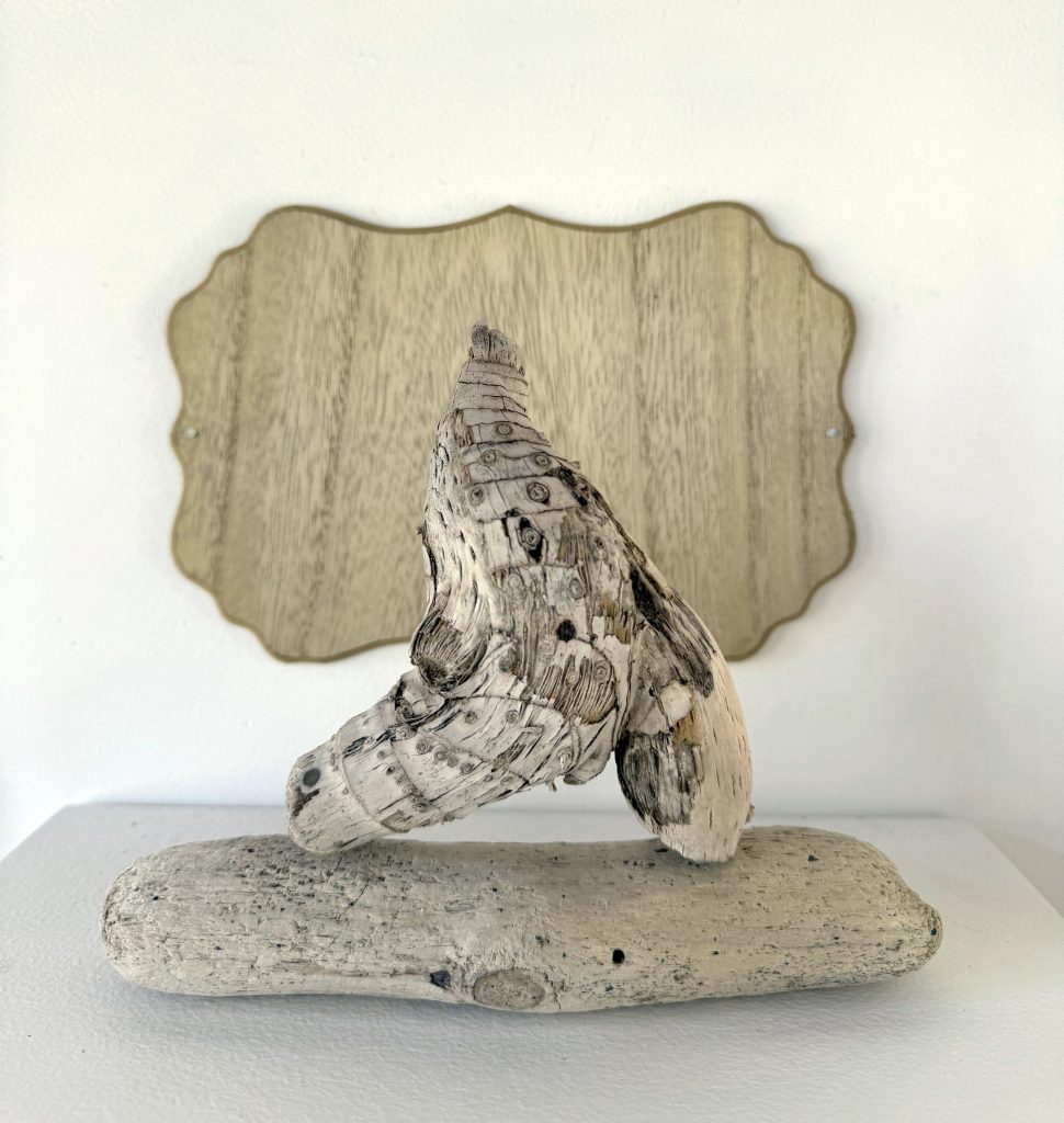 Small sculpture of kelp on a driftwood base that looks like a figure running past a decorative wooden plaque